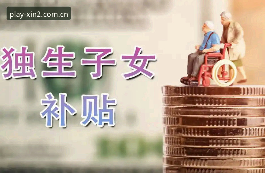 XIN2官方入口 新2投注官网高效登录与安装教程:从XIN2官方入口到平台体验全解析